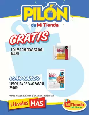 Folleto Mi Tienda del Ahorro (válido hasta 12-02)