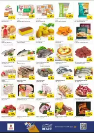 Nesto catalogue Page 3