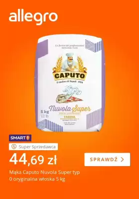 Allegro gazetka (ważność do 9-02)