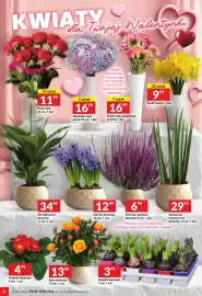 Twój Market gazetka tydzień 6 Strona 6