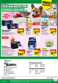 Hagebau Flugblatt Seite 8