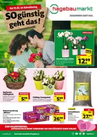 Hagebau Flugblatt Seite 1