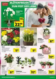 Hagebau Flugblatt Seite 2