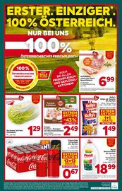 Billa Box Flugblatt woche 6 Seite 16