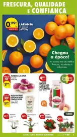 Folheto Pingo Doce semana 6 Página 3