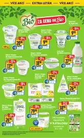 Albert leták týden 6 Strana 40