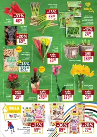 Billa leták týden 6 Strana 3