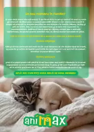 Magazine Animax Pagină 10