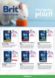 Magazine Animax Pagină 11