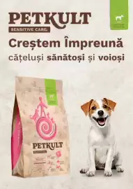 Magazine Animax Pagină 13