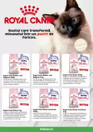 Magazine Animax Pagină 14