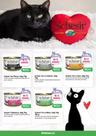 Magazine Animax Pagină 17