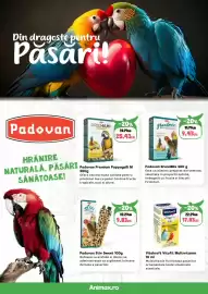 Magazine Animax Pagină 22