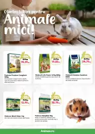 Magazine Animax Pagină 24