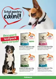 Magazine Animax Pagină 3