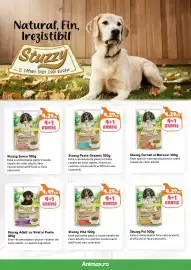 Magazine Animax Pagină 5