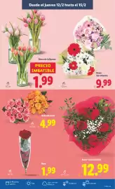 Catálogo Lidl semana 7 Página 39