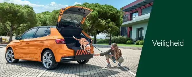 Skoda folder Pagina 20