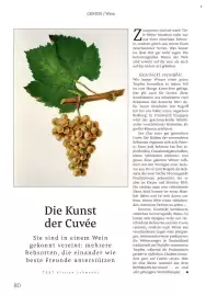 Rossmann Magazin Seite 80