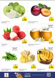 Nesto catalogue Page 2