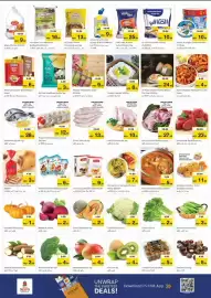 Nesto catalogue Page 3