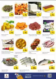 Nesto catalogue Page 4