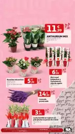 Folleto Alcampo Página 2