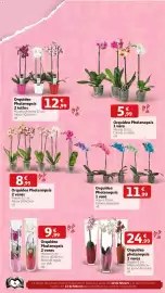 Folleto Alcampo Página 3