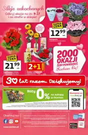 Auchan gazetka tydzień 6 Strona 45