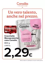 Volantino Supermercati Gulliver Pagina 10