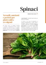 Volantino Supermercati Gulliver Pagina 13