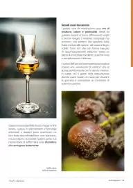 Volantino Supermercati Gulliver Pagina 21