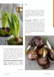 Volantino Supermercati Gulliver Pagina 29