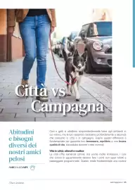 Volantino Supermercati Gulliver Pagina 85