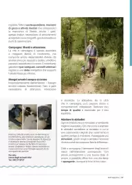 Volantino Supermercati Gulliver Pagina 87