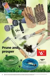 ALDI catalogue | Special Buys Page 8