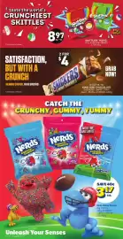 Giant Tiger flyer week 6 Page 17