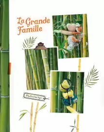 Catalogue Moulin Roty page 101