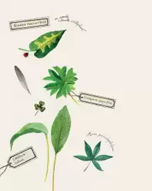 Catalogue Moulin Roty page 2