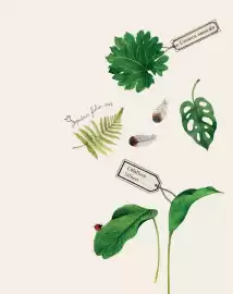 Catalogue Moulin Roty page 215