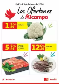 Folleto Alcampo Página 1