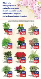 Catálogo Iquegami Supermercados Página 1