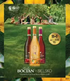 Eurocash Dystrybucja gazetka | Alkohole Strona 17