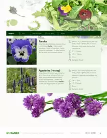Botanix flyer Page 9