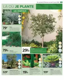 Catalogue Carrefour Drive page 11