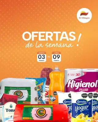Catálogo El Milagro Mayorista (válido hasta 9-02)