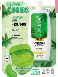 Catálogo Carmel Página 171