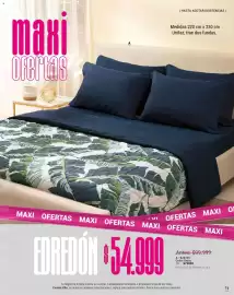 Catálogo Carmel Página 259