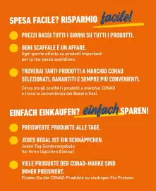 Volantino Spesa Facile Conad Pagina 2