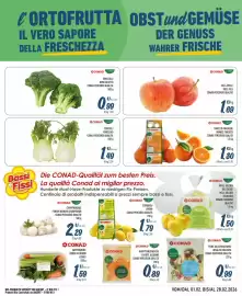 Volantino Spesa Facile Conad Pagina 3